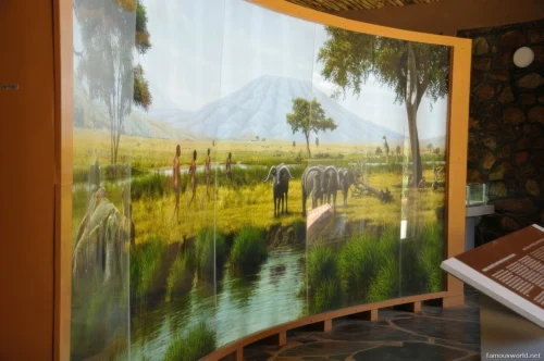 Olduvai Gorge Museum 46