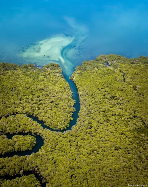 Quirimbas National Park 02