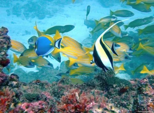 Quirimbas National Park 06