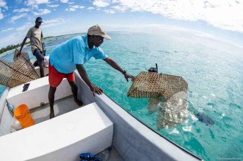 Quirimbas National Park 16