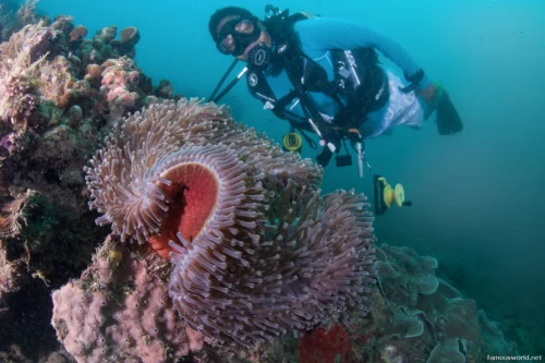 Quirimbas National Park 19