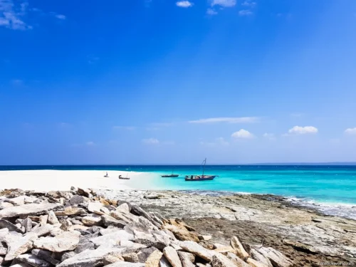 Quirimbas National Park 23