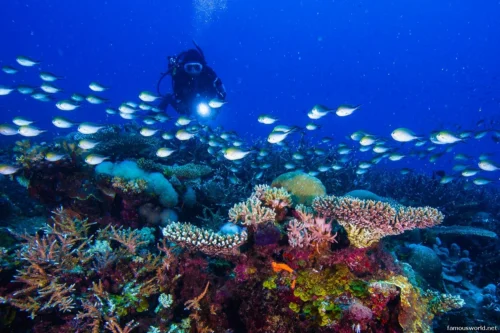 Quirimbas National Park 30