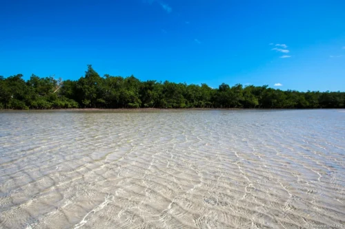 Quirimbas National Park 36