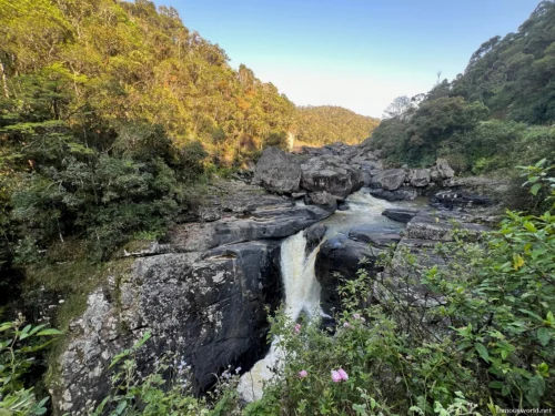 Ranomafana National Park 01