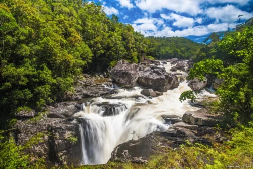 Ranomafana National Park 02