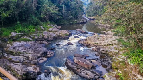 Ranomafana National Park 03
