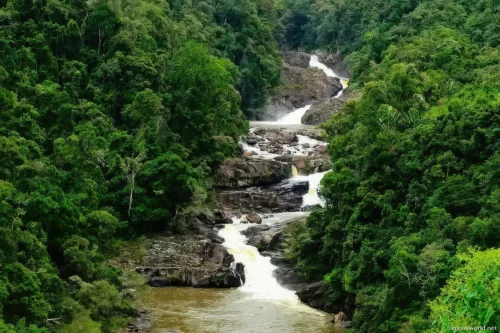 Ranomafana National Park 06