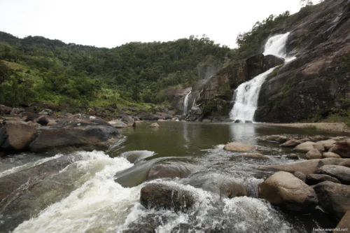 Ranomafana National Park 07