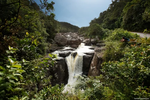 Ranomafana National Park 08