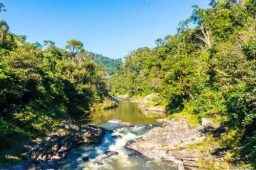 Ranomafana National Park 10