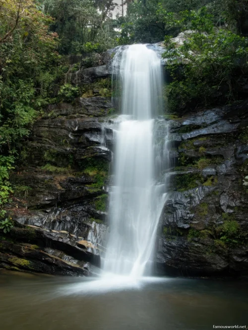 Ranomafana National Park 20