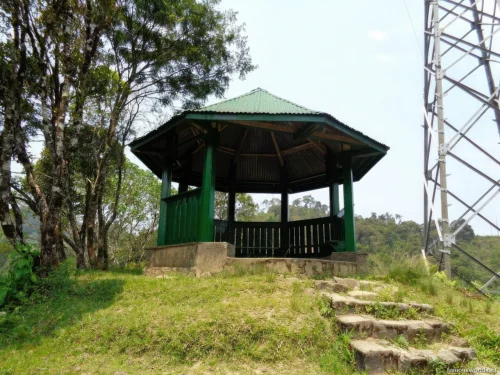 Ranomafana National Park 24
