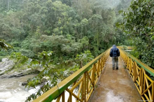 Ranomafana National Park 27