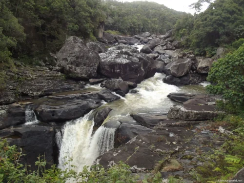 Ranomafana National Park 28