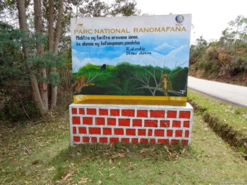 Ranomafana National Park 29