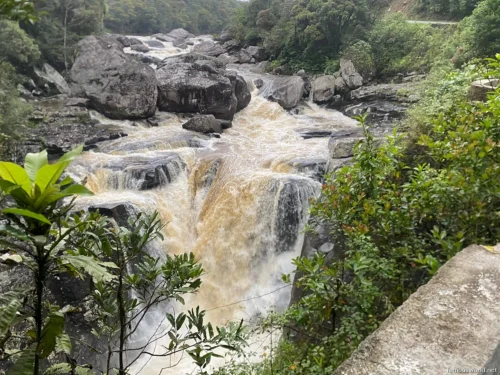 Ranomafana National Park 34