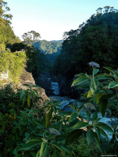 Ranomafana National Park 35