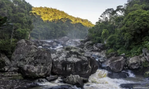 Ranomafana National Park 37