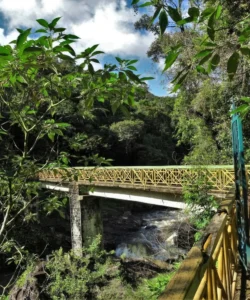 Ranomafana National Park