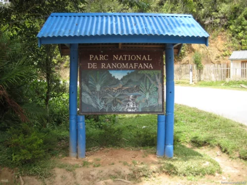 Ranomafana National Park 47