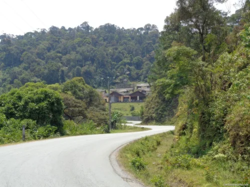 Ranomafana National Park 49