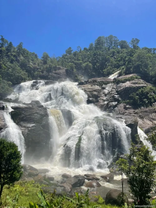 Ranomafana National Park 53