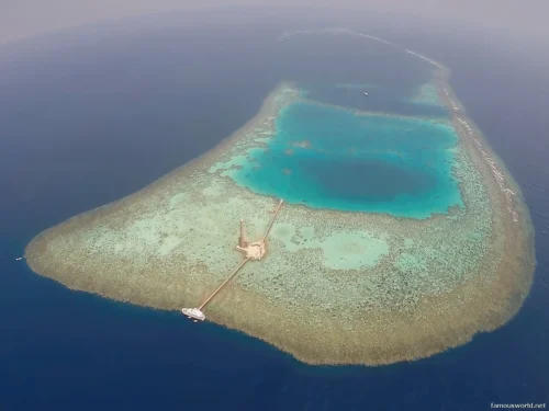 Sanganeb Marine National Park 17