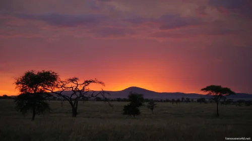 Serengeti National Park 01