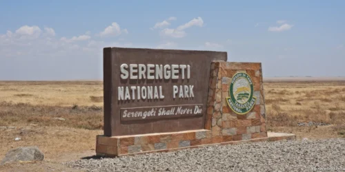 Serengeti National Park 08