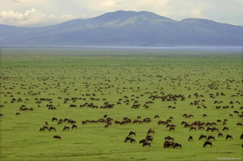 Serengeti National Park 19
