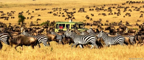Serengeti National Park 23