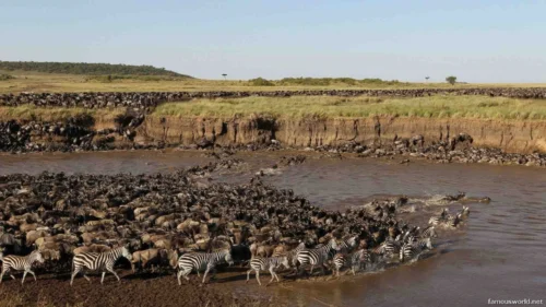Serengeti National Park 30