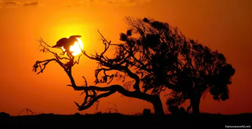 Simien Mountains National Park 09