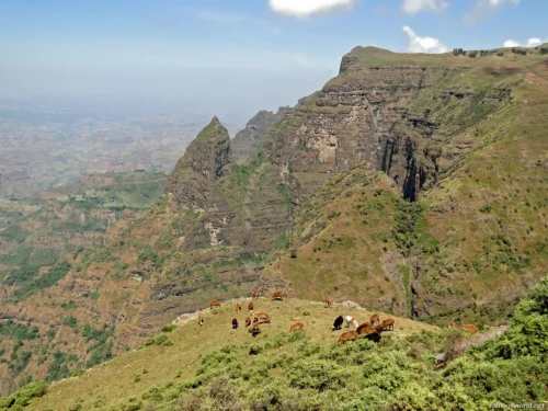 Simien Mountains National Park 23