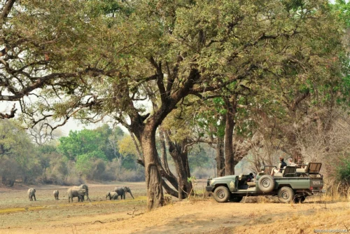 South Luangwa National Park 01