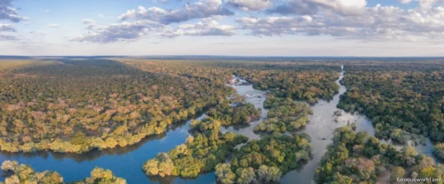 South Luangwa National Park 04