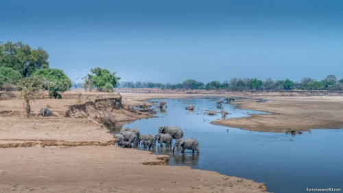 South Luangwa National Park 05