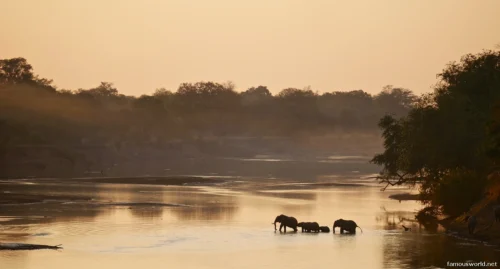 South Luangwa National Park 07