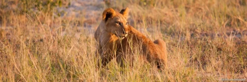 South Luangwa National Park 09