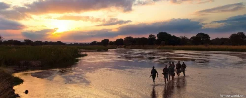 South Luangwa National Park 21
