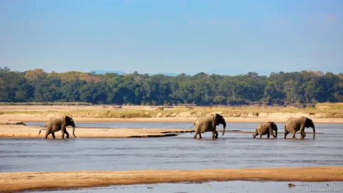 South Luangwa National Park 24