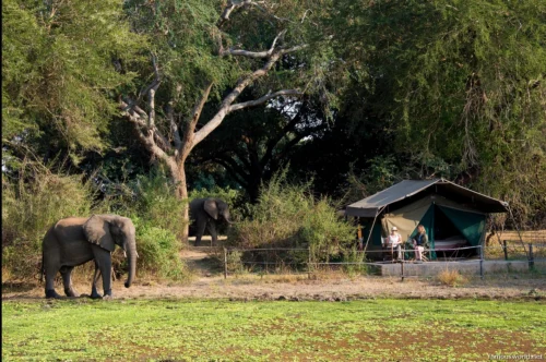 South Luangwa National Park 26