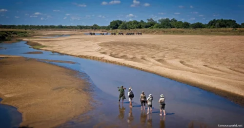 South Luangwa National Park 32