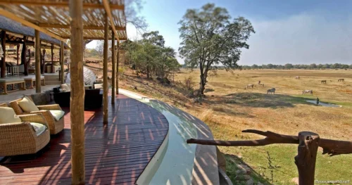 South Luangwa National Park 38