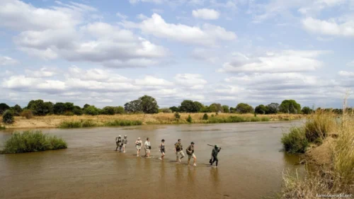 South Luangwa National Park 39