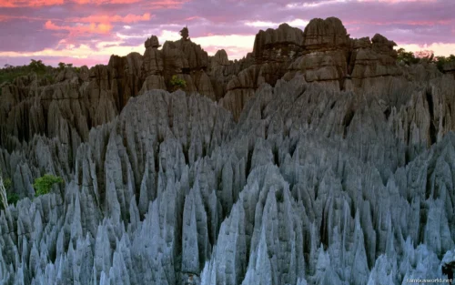 Tsingy de Bemaraha National Park 02