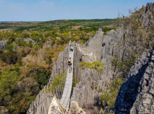 Tsingy de Bemaraha National Park 11