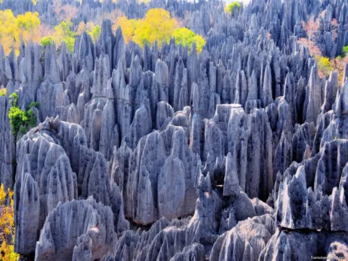Tsingy de Bemaraha National Park 16
