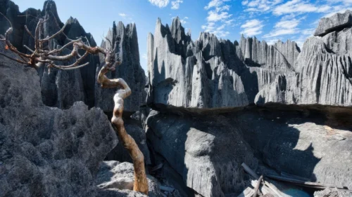 Tsingy de Bemaraha National Park 17